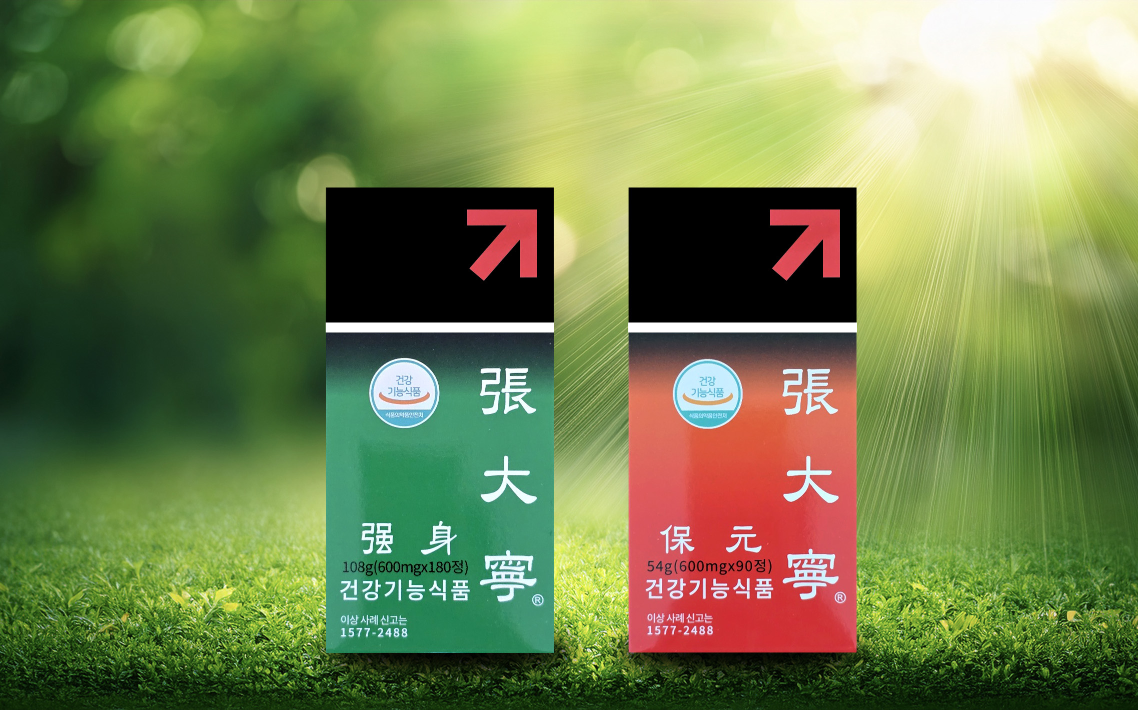 장대녕 1세트