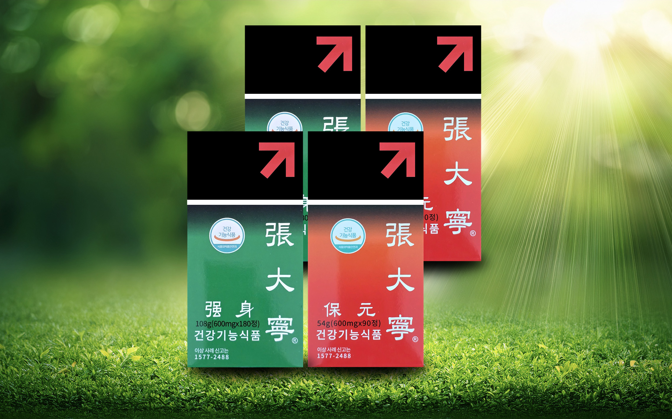 장대녕 2세트