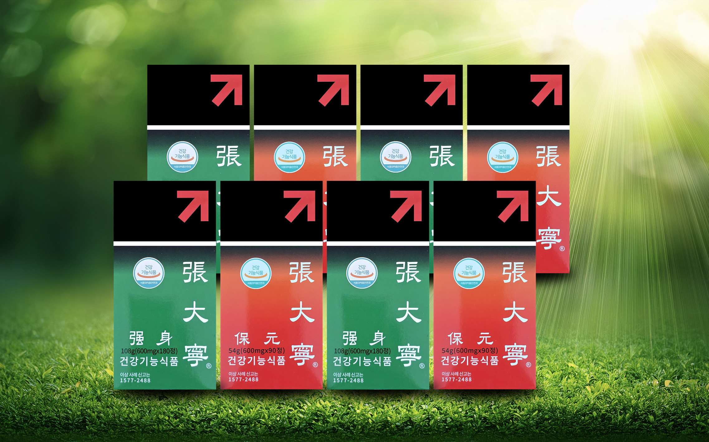 장대녕 4세트