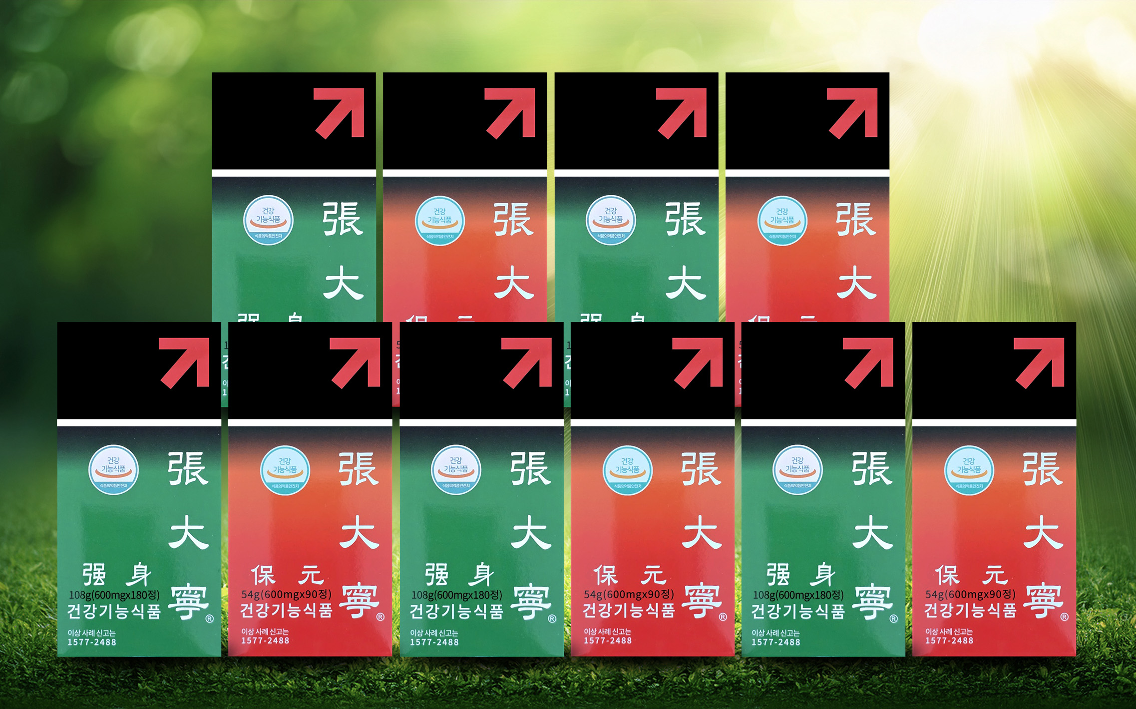 장대녕 5세트